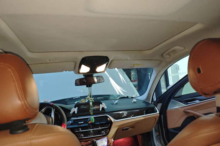 Used BMW 5 Series 2017 528Li xDrive Leading Model Headliner