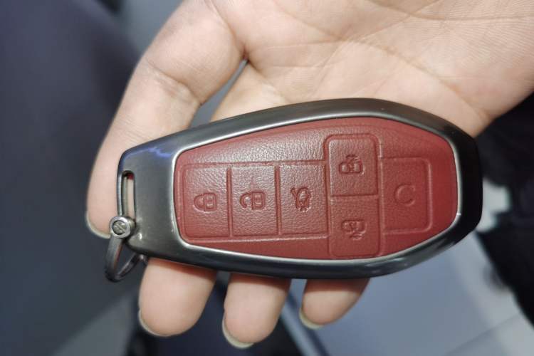 Used Denza D9 2025 DM-i Smart Drive 1020 Four-Wheel Drive Deluxe Model
