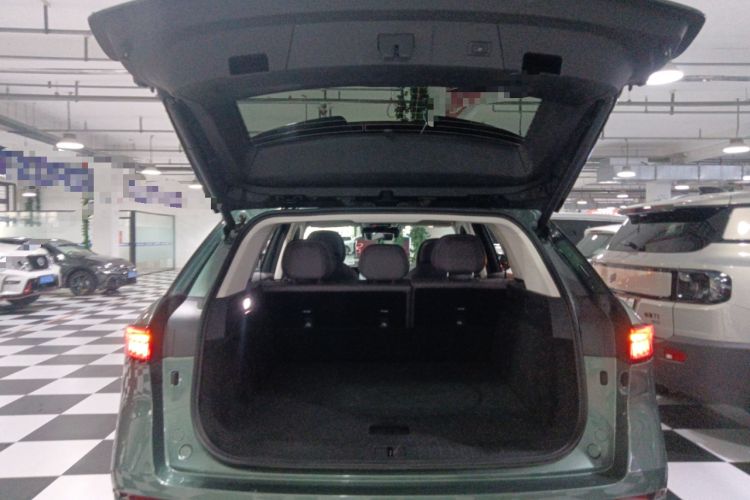 Used Chery Fengyun T10 2024 210 Luxury Edition
