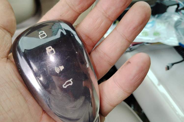 Used Wey Lanshan 2025 Four-Wheel Drive Max