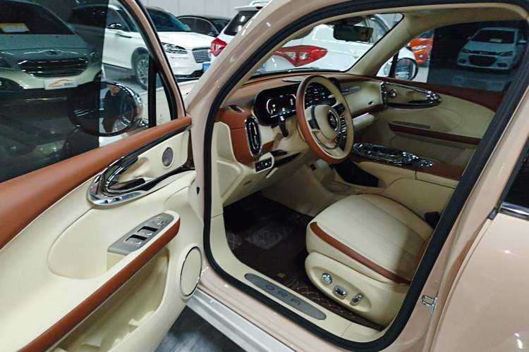 Used ORA Ballet Cat 2022 401 km Nutcracker Edition
