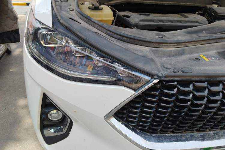 Used Haval F7 2019 2.0T Four-Wheel Drive iJoy China V Standard