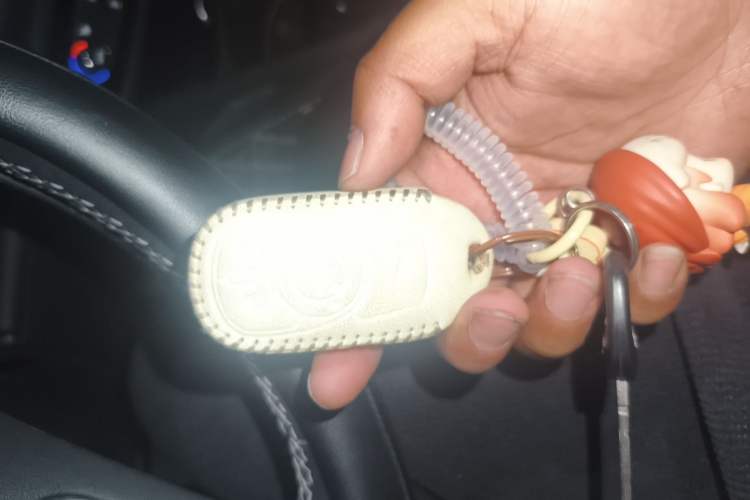 Used Buick Regal 2019 20T Elite Version China VI Standard
