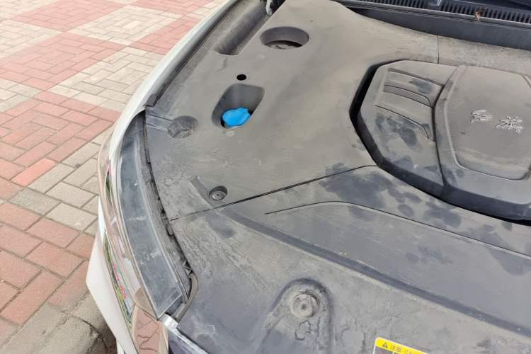 Used Hongqi HS5 2019 2.0T Smart Connect Flagship All-Wheel-Drive Version