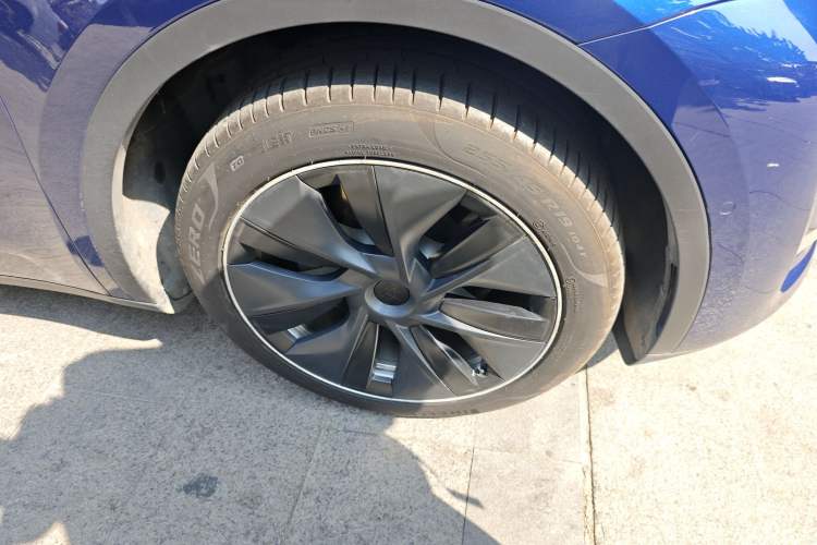 Used Tesla Model Y 2021 Standard Range Rear-Wheel Drive Version
