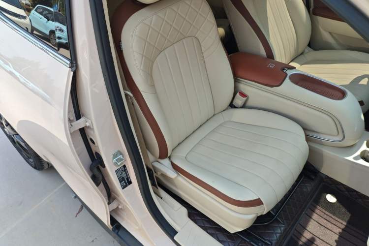 Used ORA Good Cat 2024 401 km Luxury Version Right Front Seat