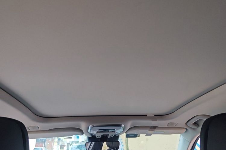 Used Hongqi H9 2020 2.0T Smart Connect Flagship Edition
