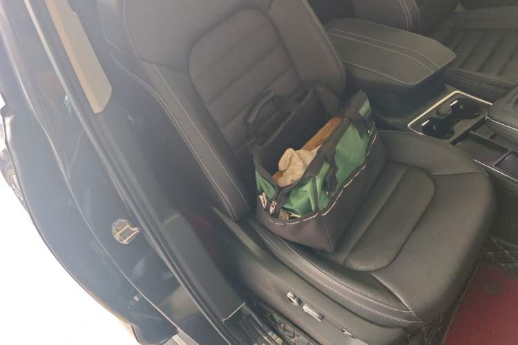 Used Volkswagen Talagon 2023 Facelift 380TSI All-Wheel-Drive Luxury Jiajing Pro 6-Seater Right Front Seat