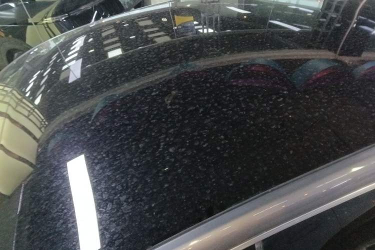 Used XPeng P7 2020 586N Roof