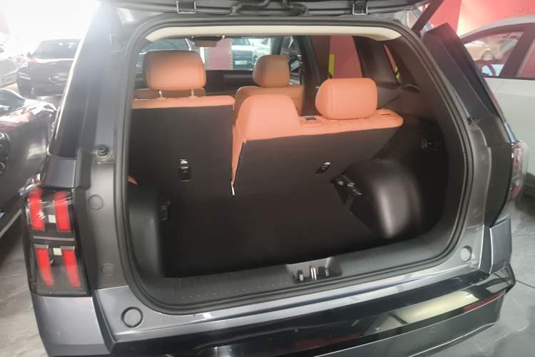 Used AION V 2024 Aion Tyrannosaurus 650 LiDAR Edition Trunk