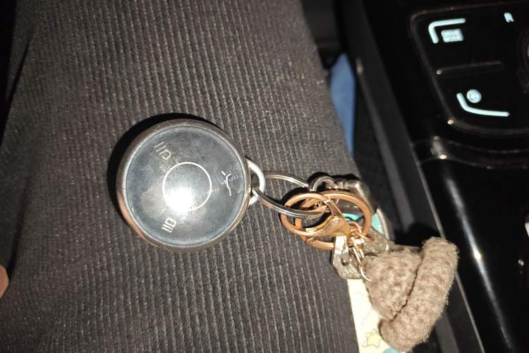 Used NETA U 2021 Pro 500 Global Edition Vehicle Key