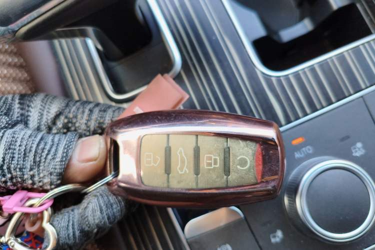 Used Haval H9 2020 2.0T Gasoline 4WD Premium Edition 5 Seats
