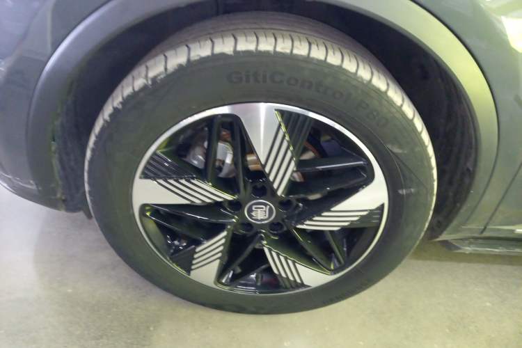 Used BYD Tang New Energy 2023 DM-i Champion Edition 112KM Prestige Model Exterior 4