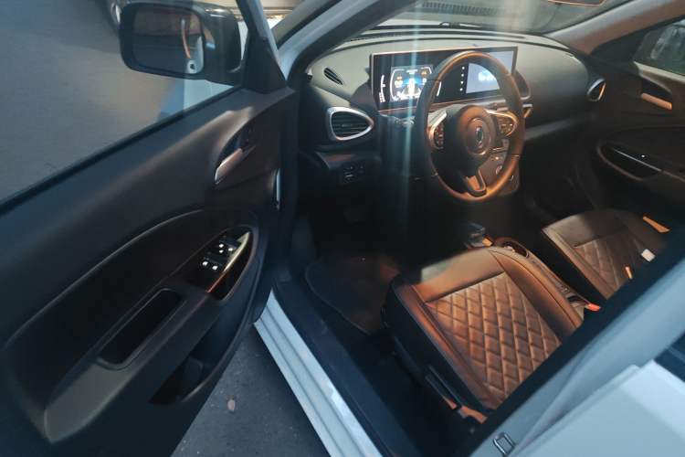 Used ORA White Cat 2020 401 km Flagship Version Driver Seat