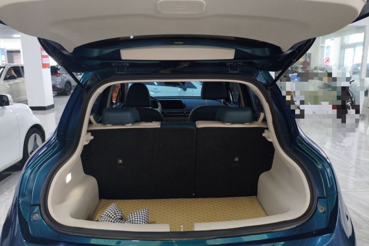 Used ORA Good Cat 2021 400km Standard Range Venus Edition Lithium-Ion Battery
