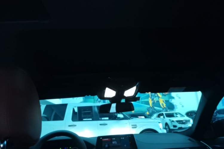 Used BMW 5 Series 2019 Facelifted 530Li Leading Edition M Sport Package Headliner