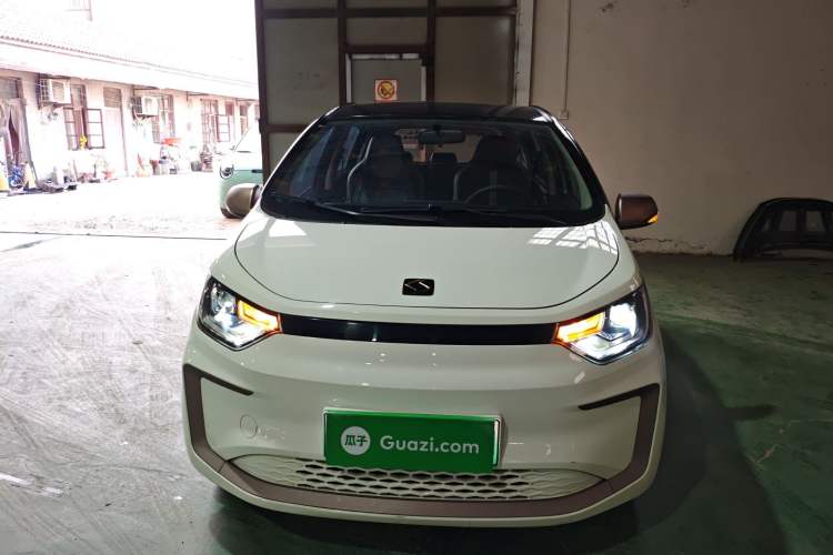 Used SOL E10X 2022 Flower Fairy Style Baby's Breath