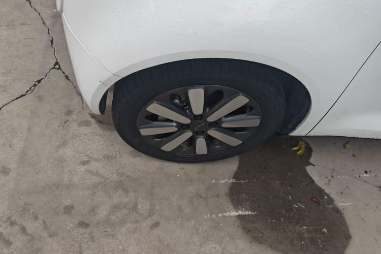 Used ORA Black Cat 2021 351 km Standard Version
