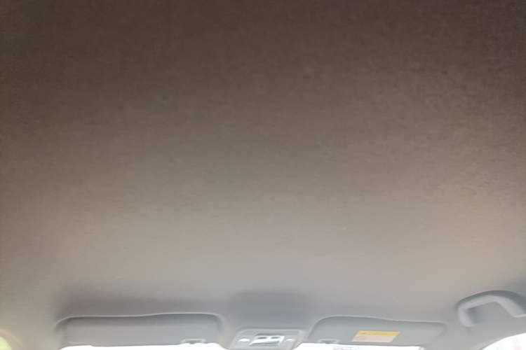 Used BYD Seagull 2023 Flying Edition Headliner