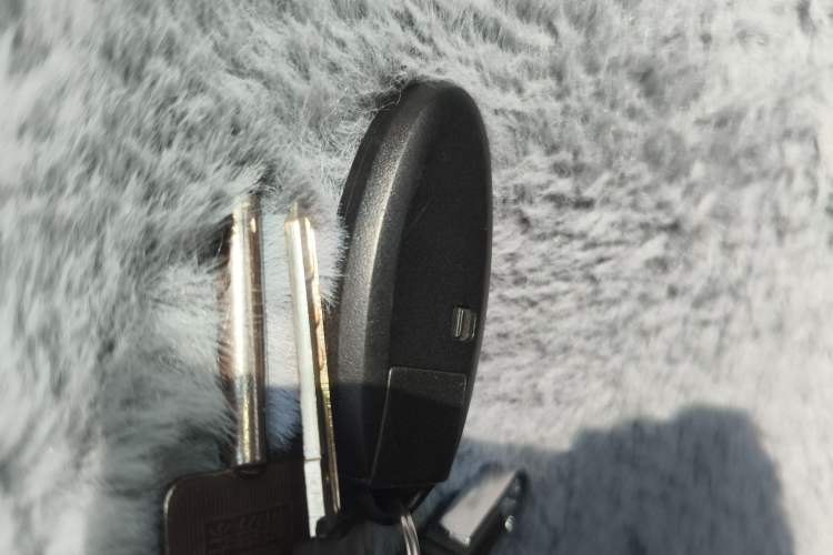 Used Nissan Qashqai 2017 2.0L CVT Luxury Edition China V Standard