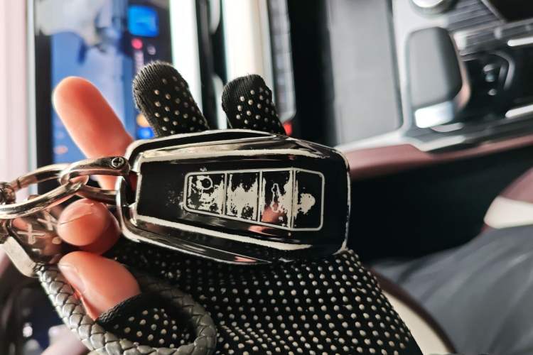 Used Geely Auto Monjaro L 2024 2.0TD High-Power Automatic Two-Wheel Drive Yunqi Version