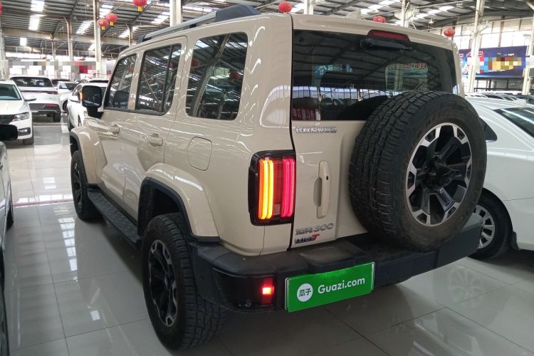 Used Tank 300 New Energy 2025 Hi4-T