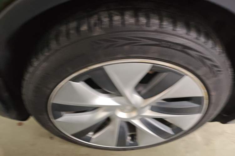 Used Tesla Model Y 2022 Revised Version Long-Range All-Wheel Drive
