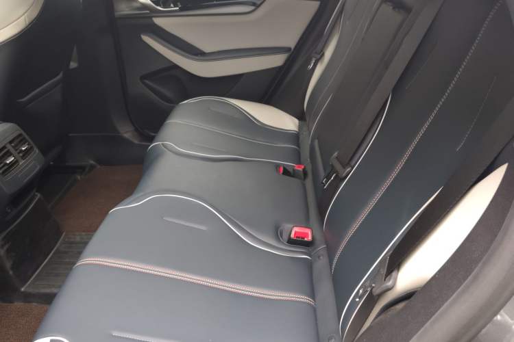 Used BYD Qin PLUS 2021 EV 500KM Luxury Model Left Rear Seat