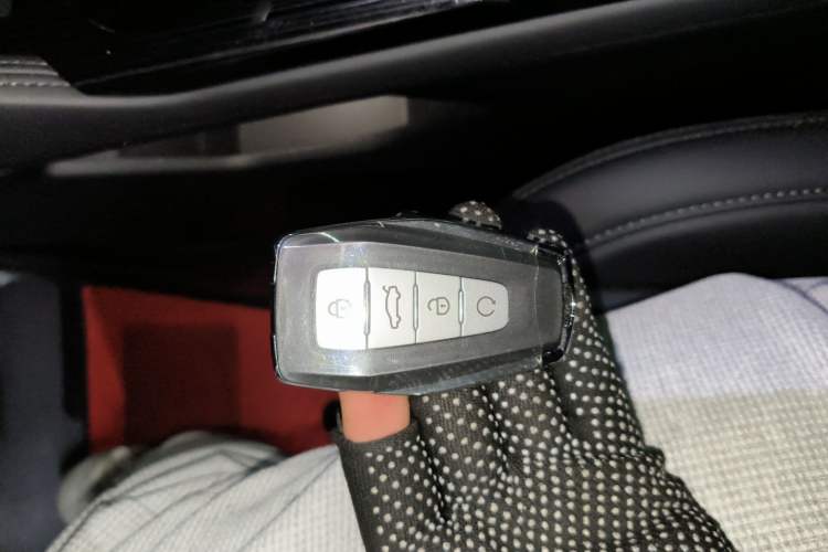 Used Geely Auto Monjaro L 2024 2.0TD High-Power Automatic Two-Wheel Drive Skyline Edition
