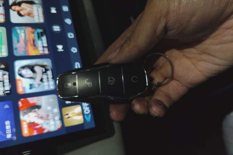 Used BYD Seal 06 New Energy 2024 DM-i 80KM Prestige Model Vehicle Key