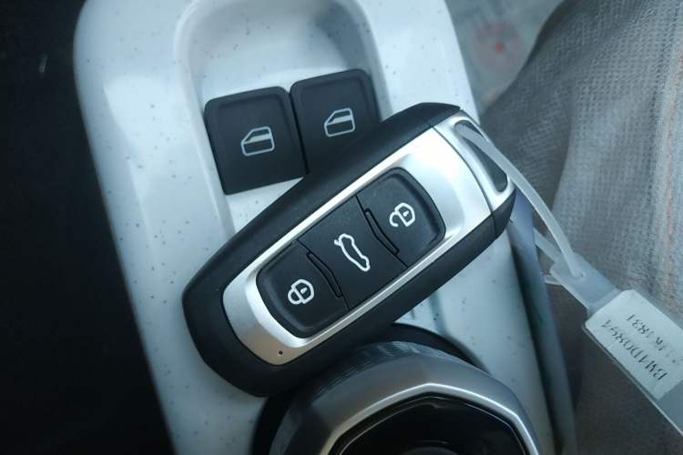 Used Geely Galaxy Panda 2024 Panda Mini 200km Endurance Bear Vehicle Key