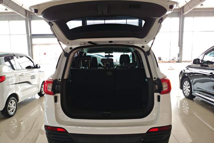 Used FORTHING T5 2022 Grand Edition 1.6L Manual Dream-Chasing Five-Seat Model