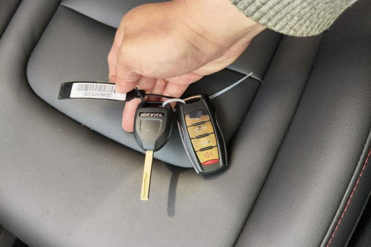 Used Haval H4 2020 Enjoy Edition 1.5T DCT Smart
