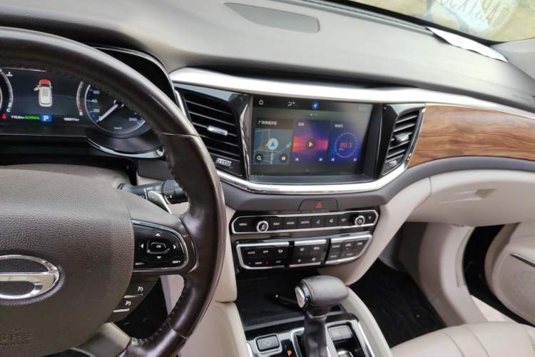 Used GAC Trumpchi GS8 2017 320T Two-Wheel Drive Luxury Smart Connectivity Version (7 Seats)