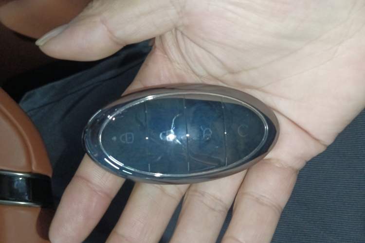 Used Yangwang U8 2023 Luxury Edition