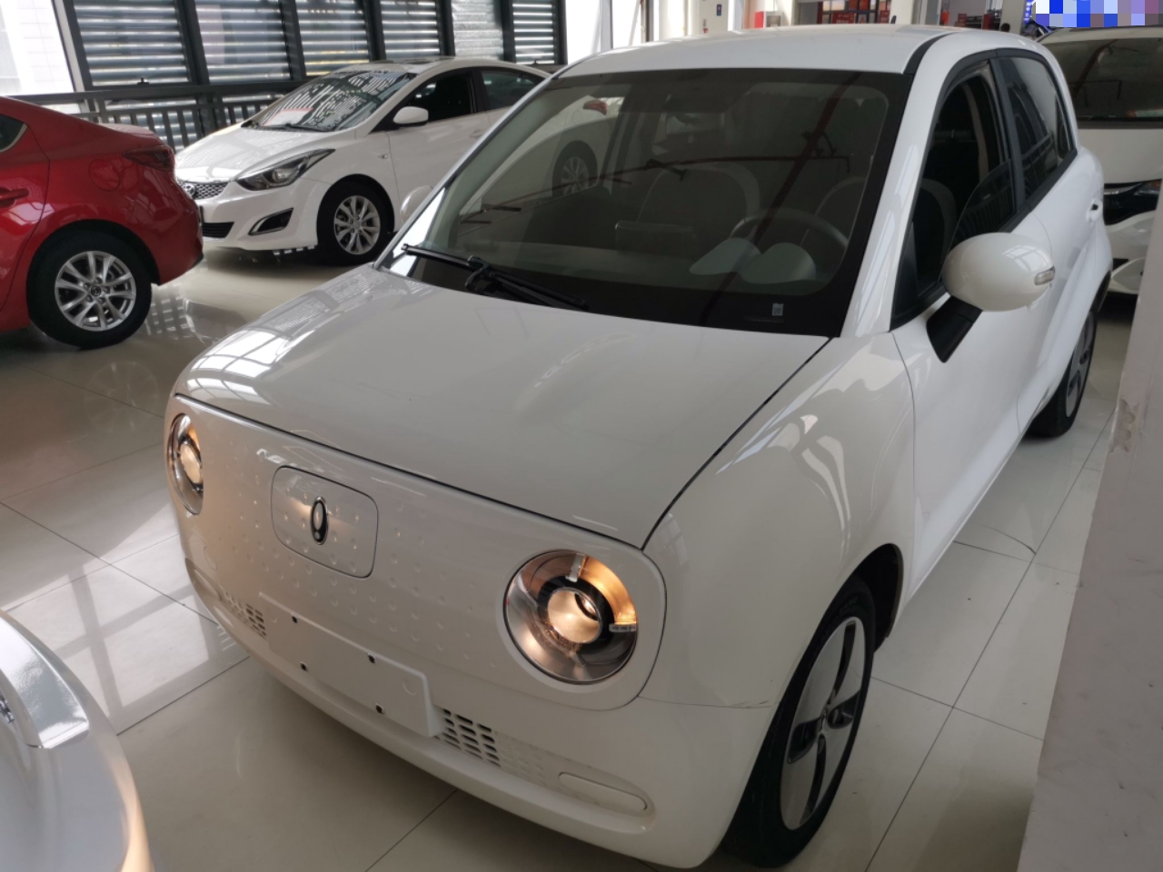 Parte inferior delantera