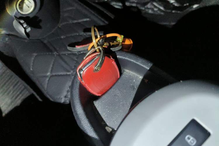 Used ORA Black Cat 2019 351 km Family Edition