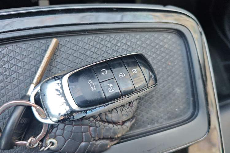 Used AION S Plus 2021 60 Intelligent Edition Vehicle Key