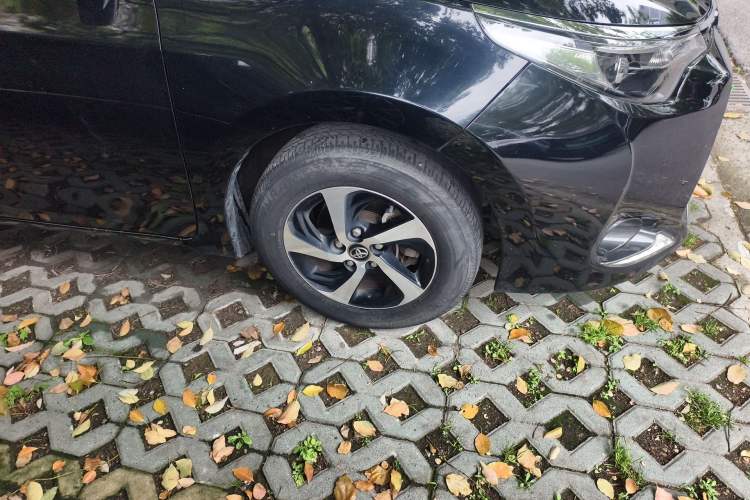 Used Toyota Levin 2018 185T CVT Luxury Edition