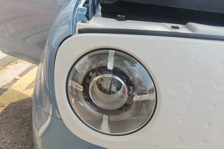 Used ORA Black Cat 2019 351 km Family Edition