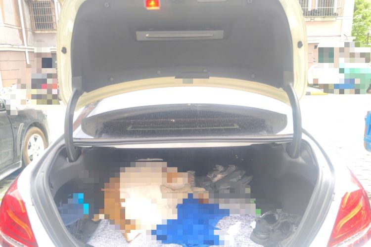 Used Mercedes-Benz C-Class 2015 Revised C 200 L Sport Edition Trunk