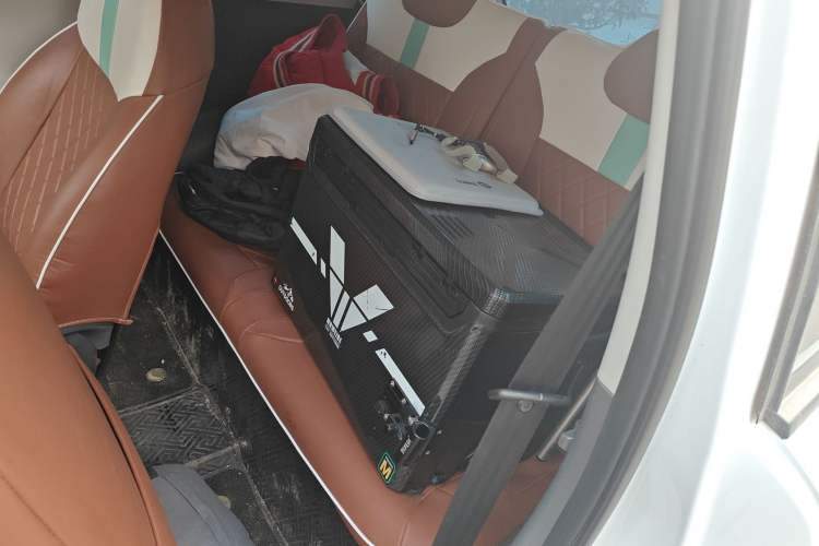 Used Qiyuan Lumin 2023 205km Xiangqin Version