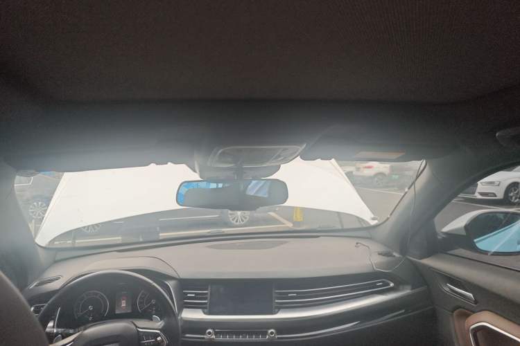 Used Haval H6 2017 Blue Label 2.0T Automatic Two-Wheel Drive Smart Edition Headliner