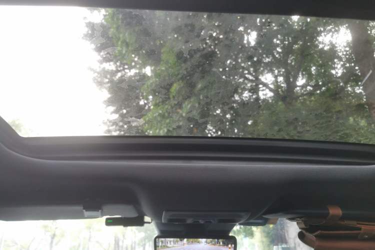 Used Ford Ranger 2023 Wild Terrain 4x4 Automatic Version Gasoline Headliner