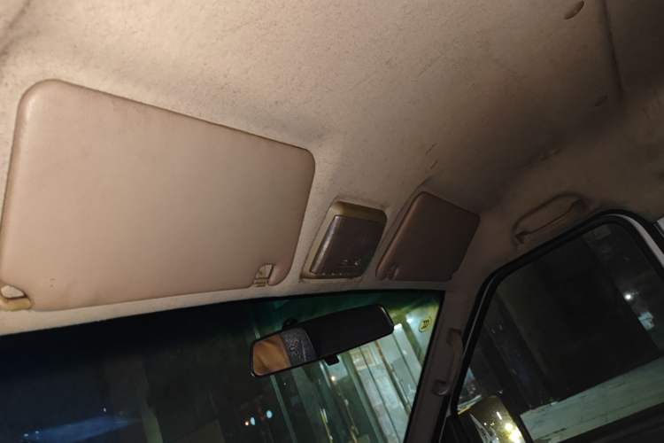 Used Ruichi EC35 2022 EC35 II Custom Edition 31.25 kWh
