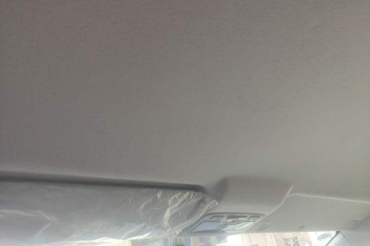 Used JAC Refine M3 2021 PLUS 1.8L 2-Seat Shuttle Version Headliner