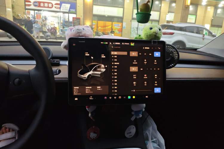 Used Tesla Model 3 2022 Rear-Wheel-Drive Version