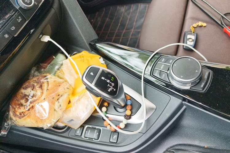 Used BMW 3 Series 2019 320Li M Sport Package