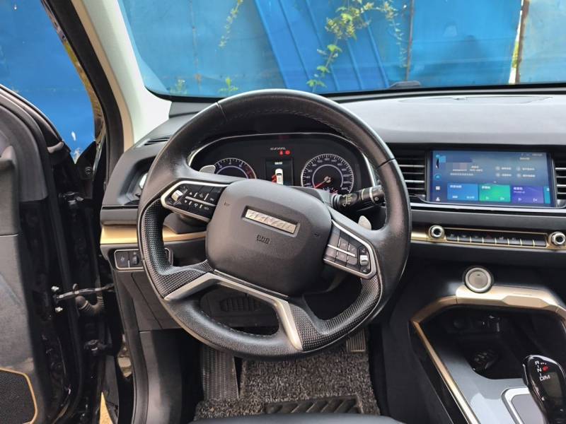 Used Haval H6 2020 1.5 GDIT Automatic Platinum Champion Edition — 6