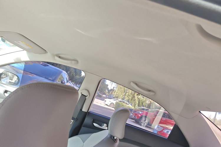 Used Kia Pegas 2019 1.4L Manual Value Edition National VI Standard Headliner